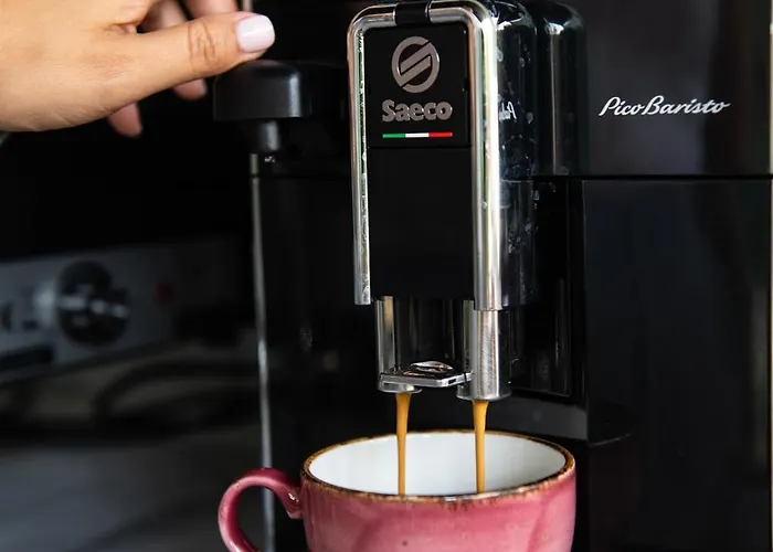 Olive Boutique Hotel 4*