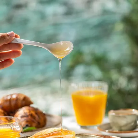 Hotel Olive Boutique 4*